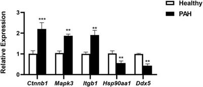 Identification of potential biomarkers for idiopathic pulmonary arterial hypertension using single-cell and bulk RNA sequencing analysis